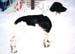 dafne_12